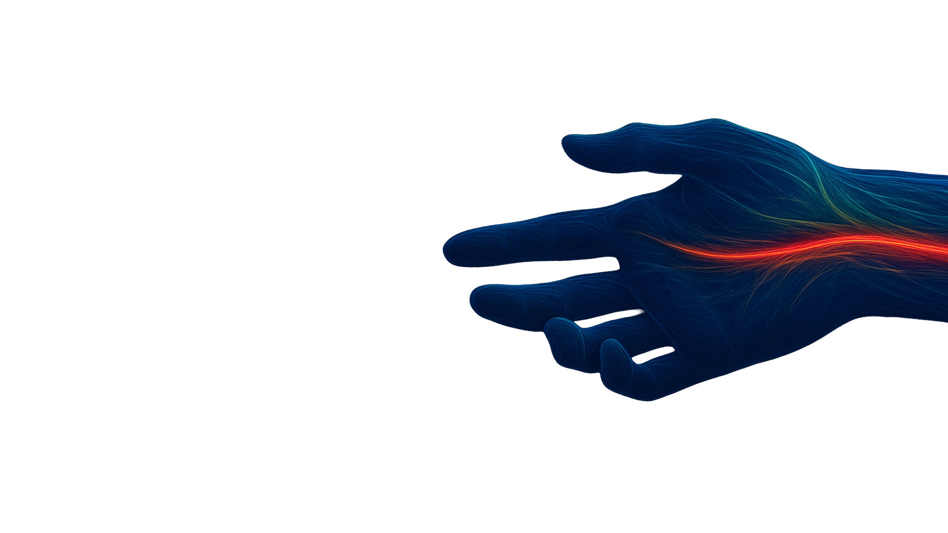Blood Flow Insights that Matter