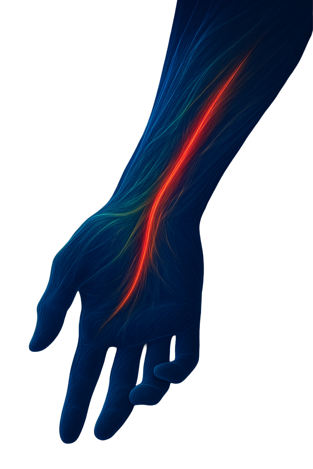 Blood Flow Insights that Matter