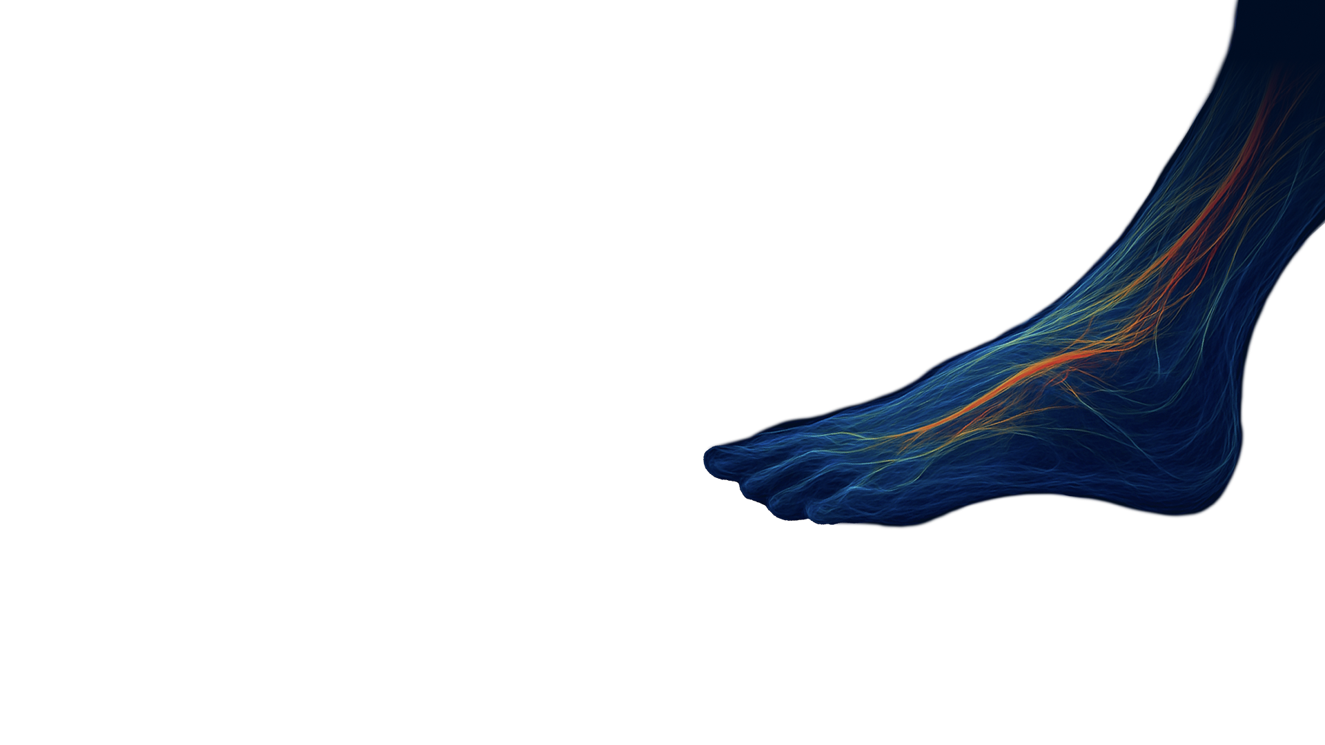 Advancing PAD Care and Beyond